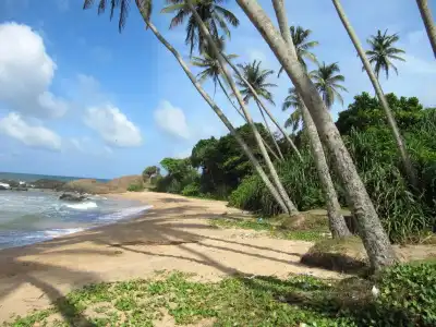 Boutique Villa Shanthi - 19