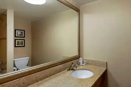 Comfort Inn Lansing West - 44