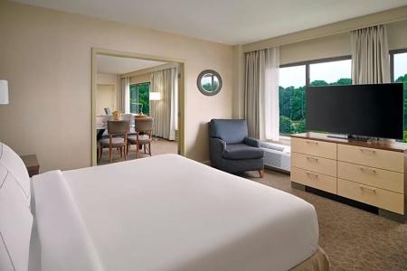 DoubleTree by Hilton Williamsburg - 99