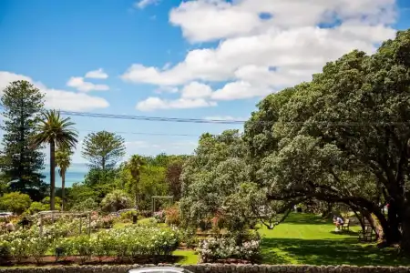 Auckland Rose Park - 111