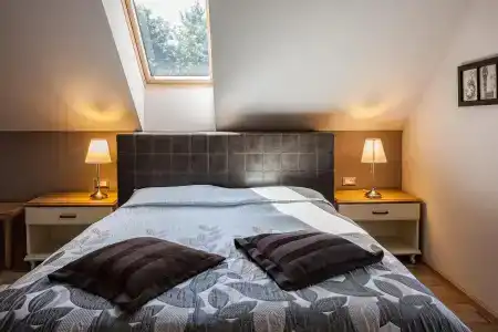 B&B Dvor Tacen - 4