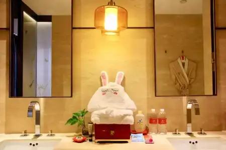 HUALUXE Shanghai Twelve at Hengshan by IHG - 9