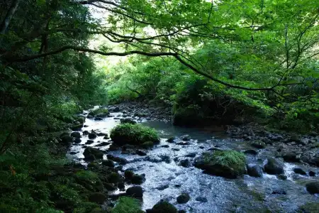 Yamanaka Onsen Shirasagiyu Tawaraya - 24