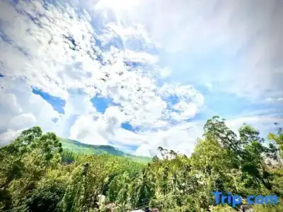 Nature Life Guest Inn - 80
