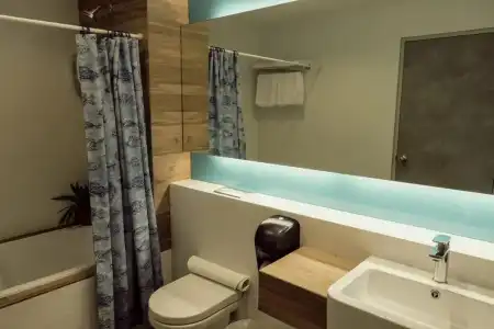 VIP (SG Clean Certified) - 48