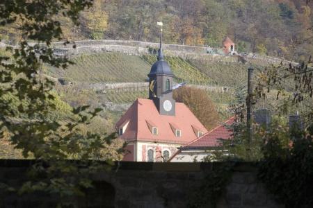 Schloss Dresden-Pillnitz - 54