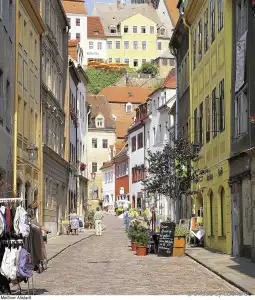 Goldener Löwe - 10