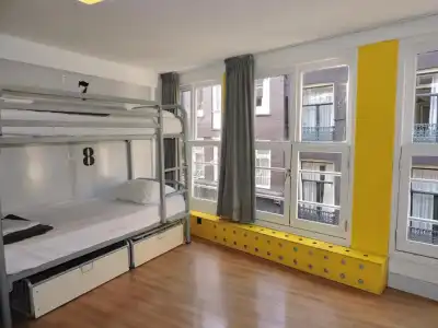 The White Tulip Hostel - 29