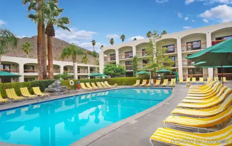 Palm Mountain Resort and Spa - 10