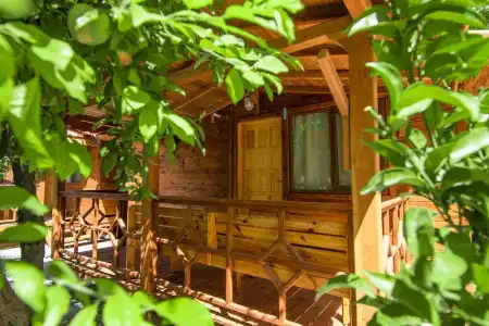 Likya Adrasan - 43