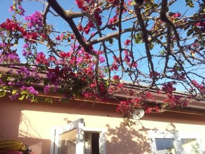 L'Alberghetto B&B - 37