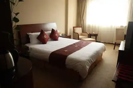 Shangtex - 26