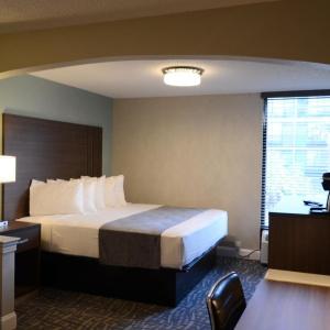 Opal & Suites - 37