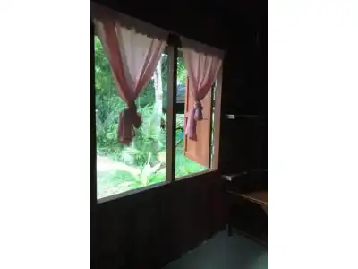 Rasta House - 0