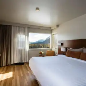 The Juniper - 46