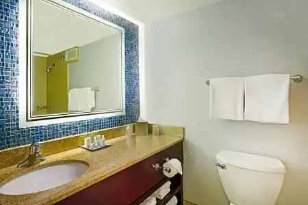 Wyndham Garden Lake Buena Vista – Disney Springs® Area - 114