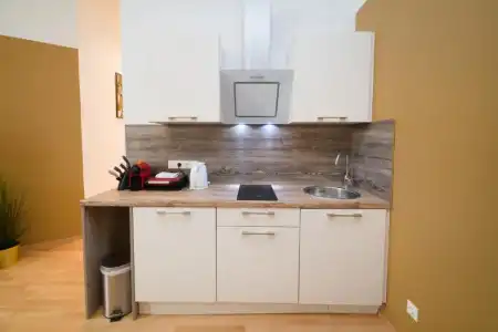Vienna Stay Apartments Tabor 1020 - 17