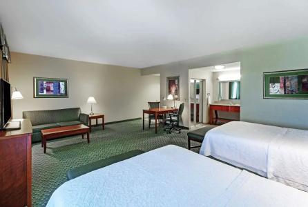 Hampton Inn & Suites El Paso West - 94