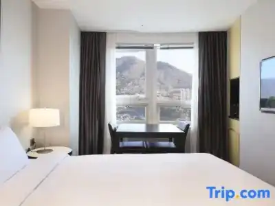 Avani Central Busan - 58
