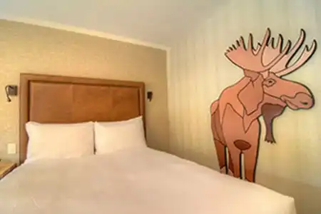 Moose And Suites - 35