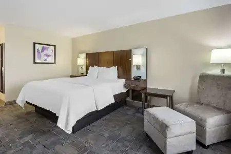 Best Western Plus Gen X Inn - 37