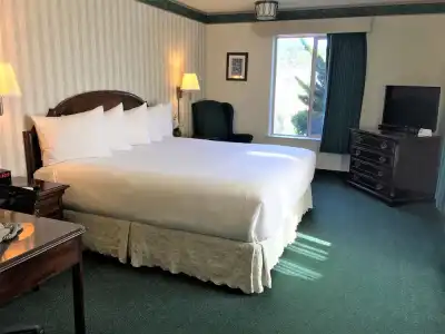 Emerald Dolphin Inn & Mini Golf - 44