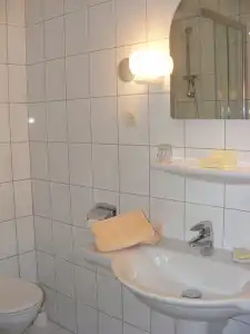 Schwartze - 5