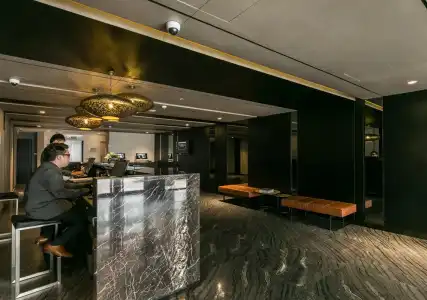 Venue - The Lily - 15