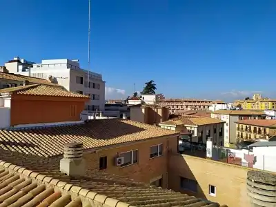 Cedrán - 13