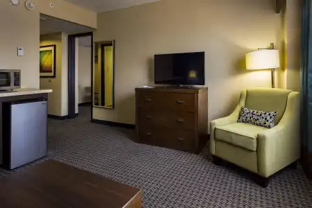 Holiday Inn Houston Downtown by IHG - 3
