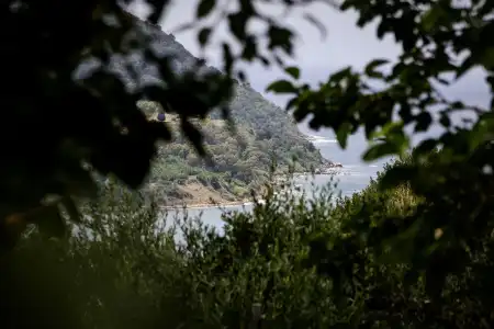B&B Belvedere - 13