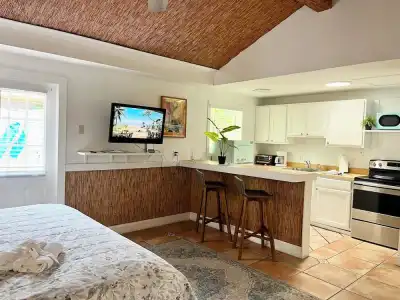 Turtle Beach Resort - 51