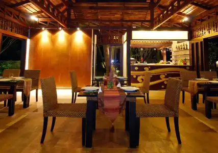 Niramaya Villa & Wellness Resort - 8