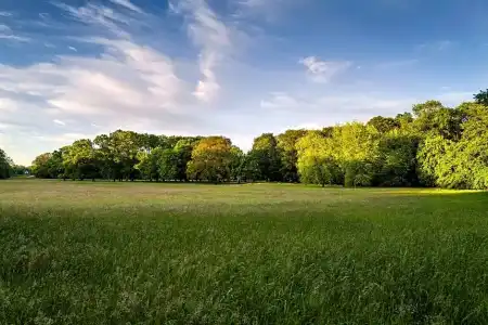 ParkBremen - 33