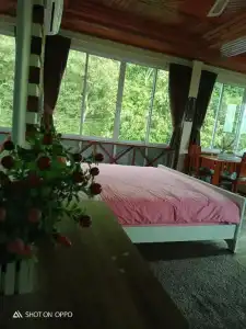 Mountain View Guest House - 24