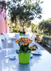 Miss Sicily B&B - 12