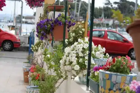 Locanda sul Mare - 41