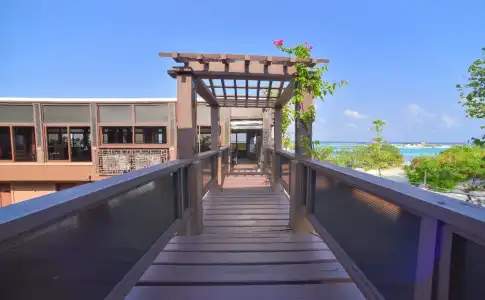 Rashu Hiyaa - 20