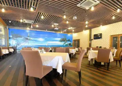 Vili International - 8