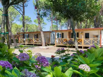 Vela Blu Camping Village - 51