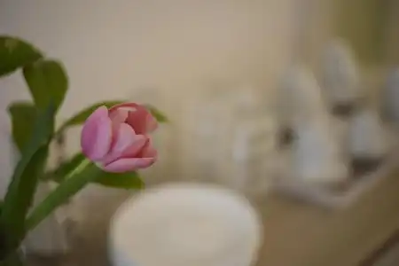 B&B Siracusa Holidays - 25