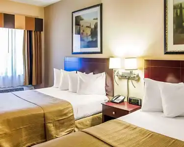 Quality Inn & Suites Peoria North - 50