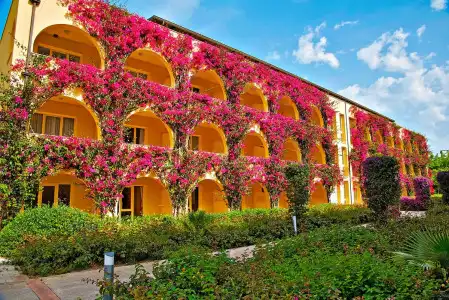 TUI MAGIC LIFE Calabria - All Inclusive - 0