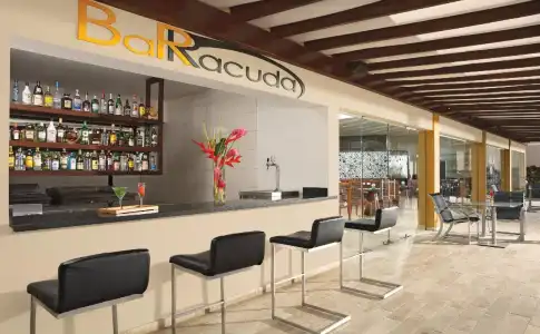 Hyatt Vivid Punta Cana - All Inclusive - Adults Only - 25