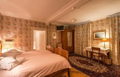 Hôtel Masson - 45