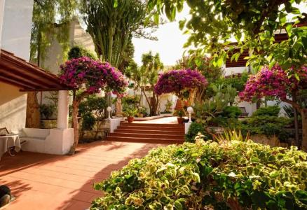 Gattopardo Park - 38