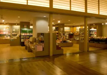 Kinugawa Onsen - 28