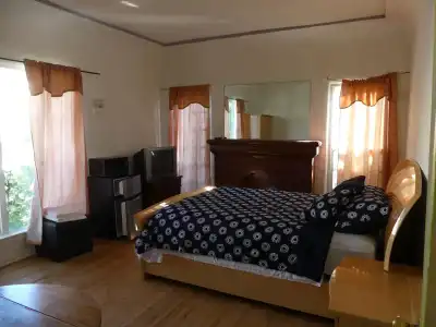 Wilshire Orange - 24
