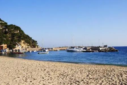 Medium Montecarlo - 17