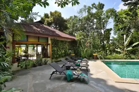 Ambong Rainforest Retreat - 11